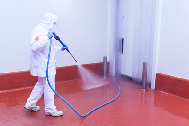 Best Post-Construction Pressure Washing  in Palo Alto, CA